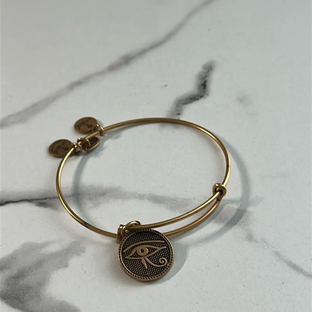 Pre owned Alex and Ani 2014 Charm Bangle Bracelet - Picture 2 of 13